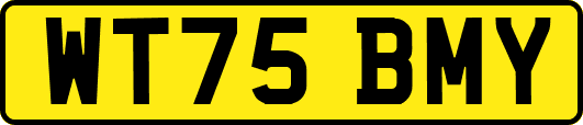 WT75BMY