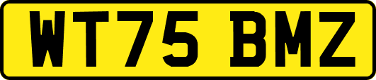 WT75BMZ