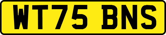 WT75BNS