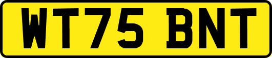 WT75BNT
