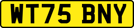 WT75BNY