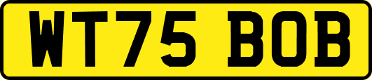 WT75BOB