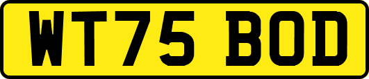 WT75BOD