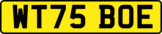 WT75BOE