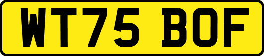 WT75BOF