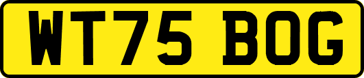 WT75BOG