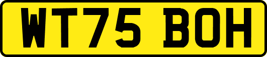 WT75BOH
