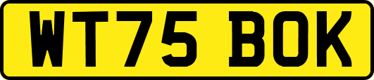 WT75BOK