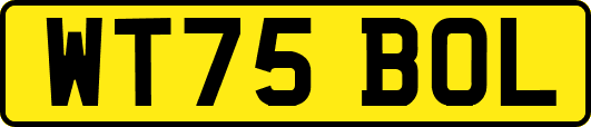 WT75BOL