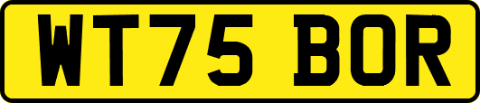 WT75BOR