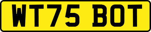 WT75BOT