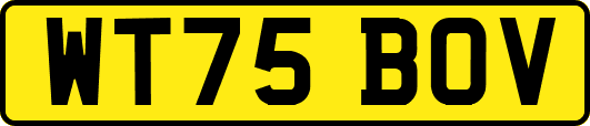 WT75BOV