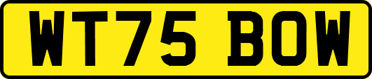 WT75BOW