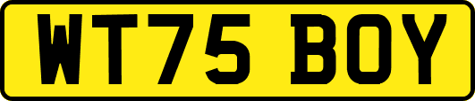 WT75BOY