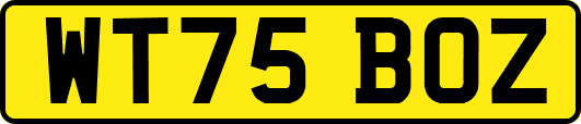 WT75BOZ