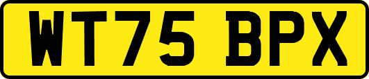 WT75BPX