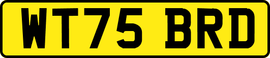 WT75BRD