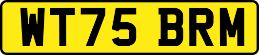 WT75BRM