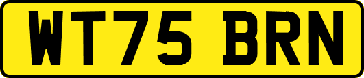 WT75BRN