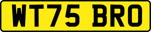 WT75BRO