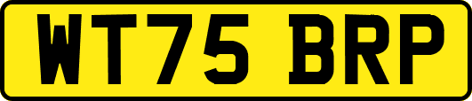 WT75BRP