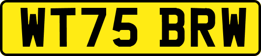 WT75BRW