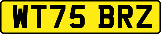 WT75BRZ