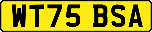 WT75BSA