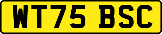 WT75BSC