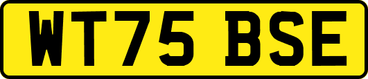 WT75BSE