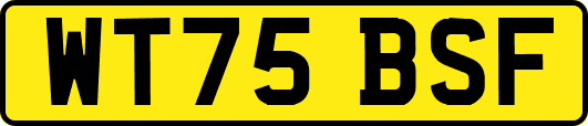 WT75BSF