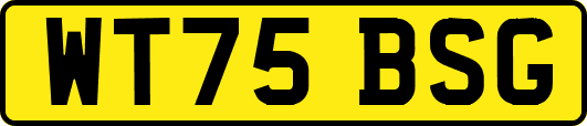WT75BSG