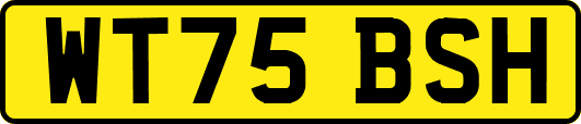 WT75BSH