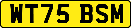 WT75BSM
