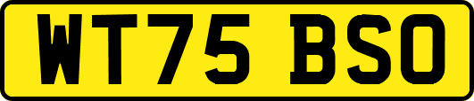 WT75BSO