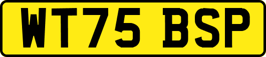 WT75BSP