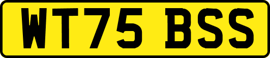 WT75BSS
