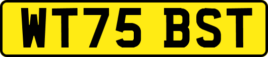 WT75BST