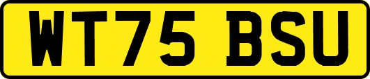 WT75BSU