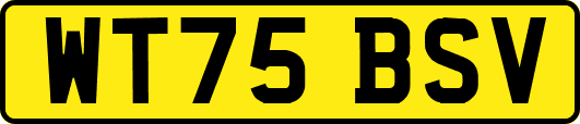 WT75BSV