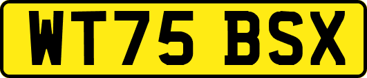 WT75BSX