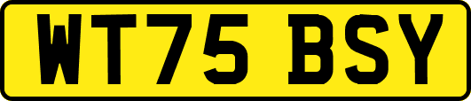 WT75BSY
