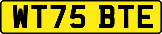 WT75BTE