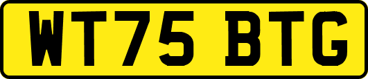 WT75BTG