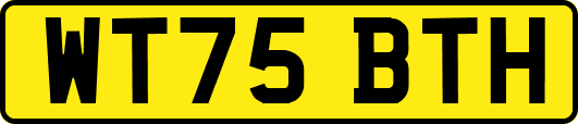 WT75BTH