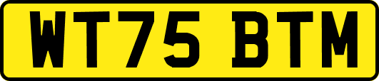 WT75BTM
