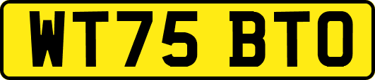 WT75BTO