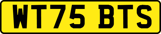 WT75BTS