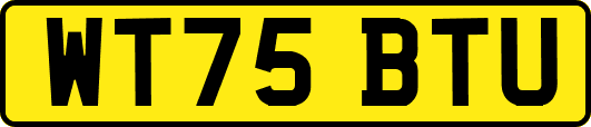 WT75BTU