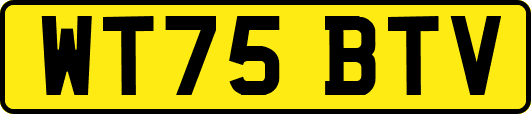 WT75BTV